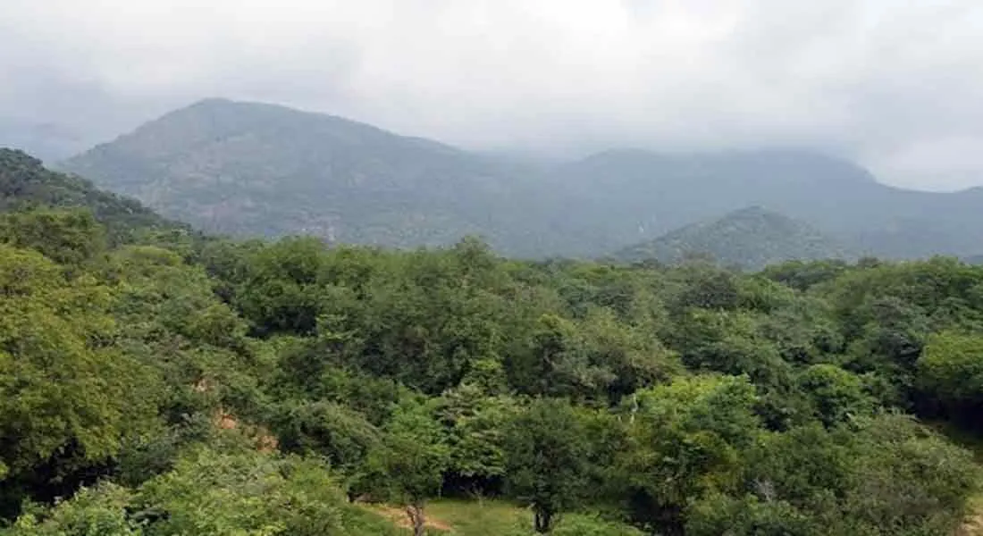 Case for protecting the natural resources of the mountains! National Green Tribunal to be approached