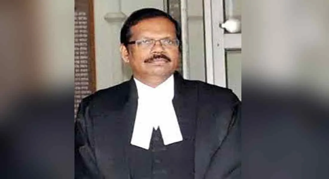 judge 