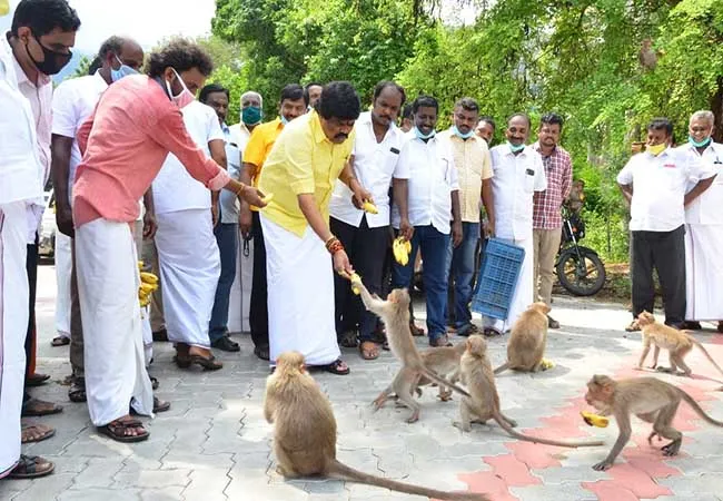 tamilnadu minister rajendra balaji provide foods for animals 