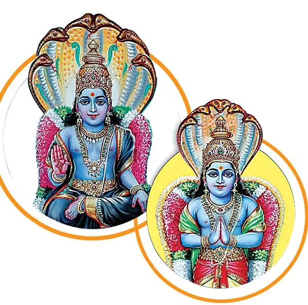 raghukethu