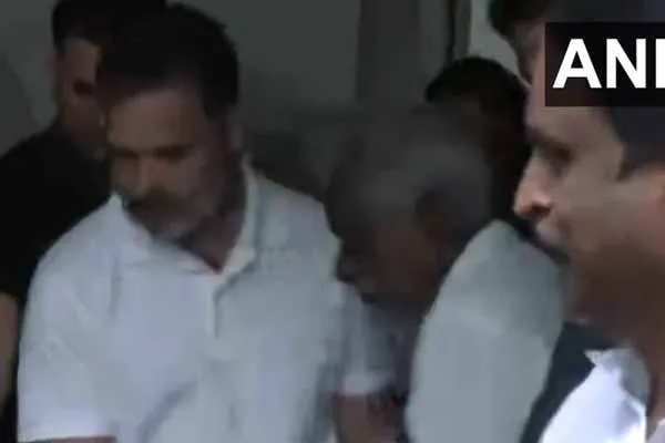 3 people incident wild animal issue Rahul Gandhi consoled in person