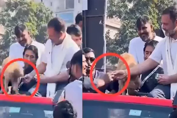 Rahul Gandhi caught in controversy for Same biscuit for dog and supporter