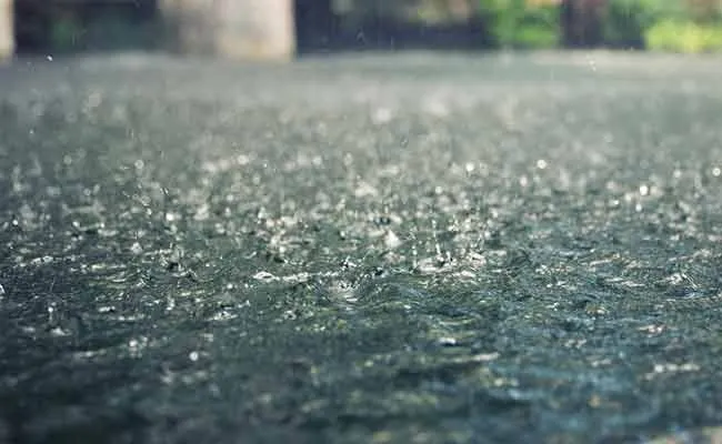 rain 