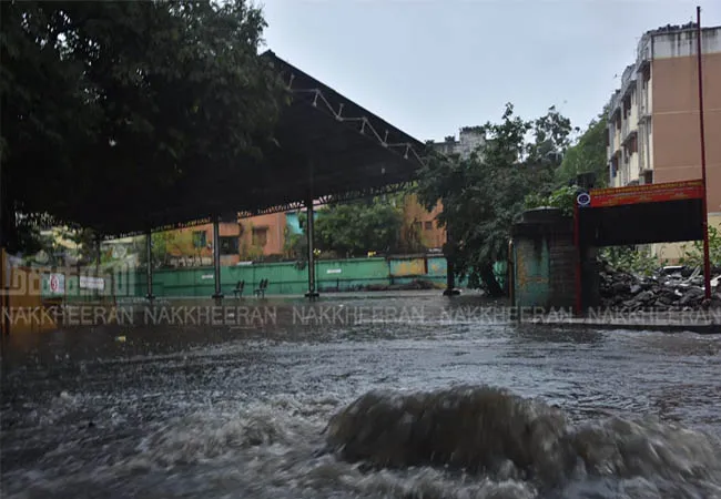 cyclone heavy rains agricultural land union government committee arrives tamilnadu 