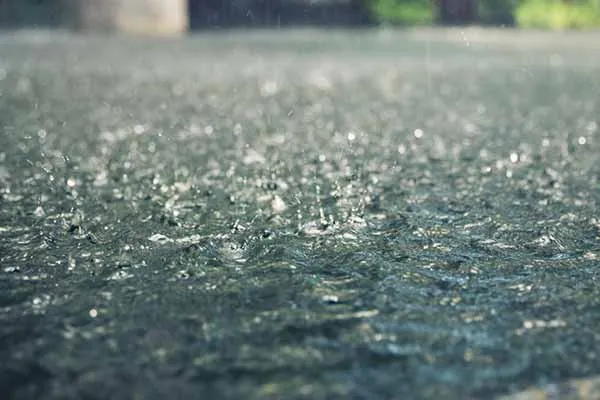 rain
