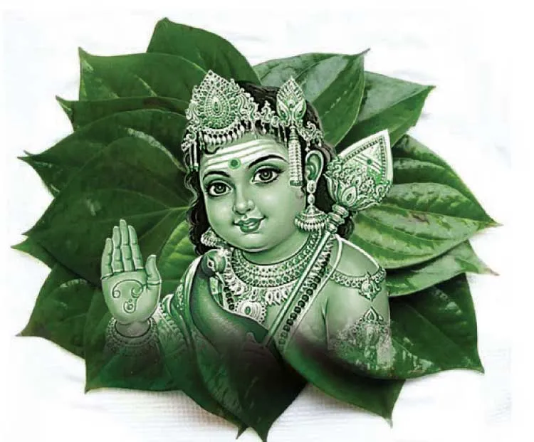 rajesh
