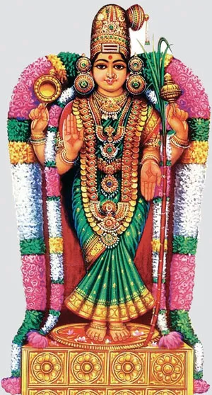 rasi
