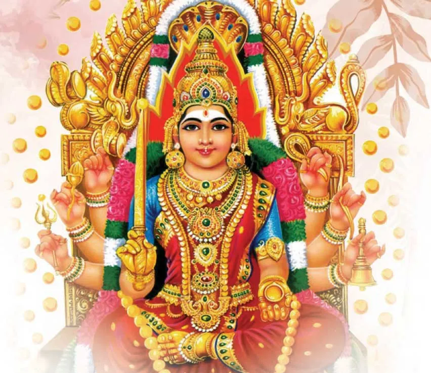 rasipalan