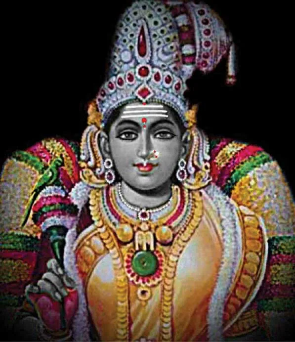 rasi