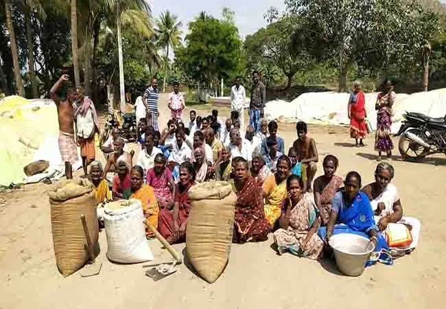  Government Paddy Purchasing Centers Not Opened cauvery delta farmers 
