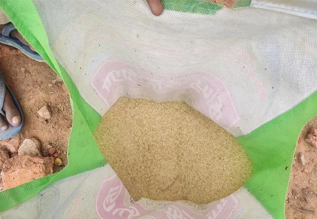 schools students foods tn govt rice 
