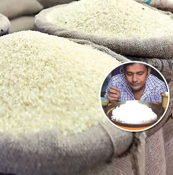 rice