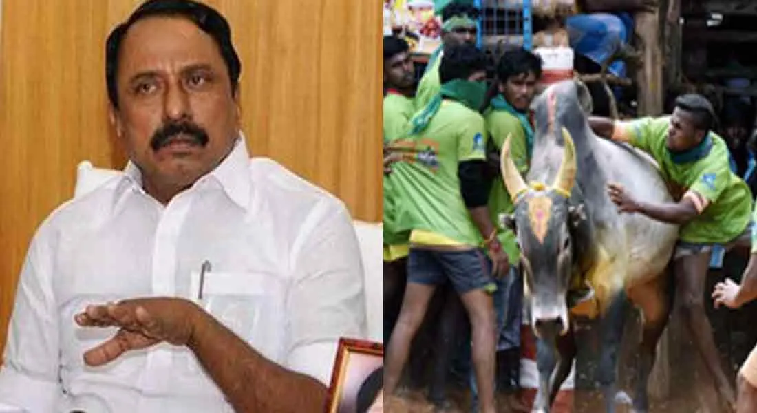 jallikattu 