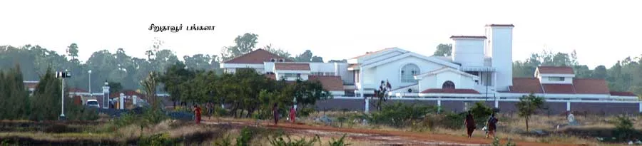 sasi
