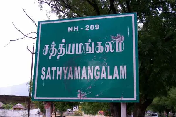 erode district sathyamangalam elephant incident