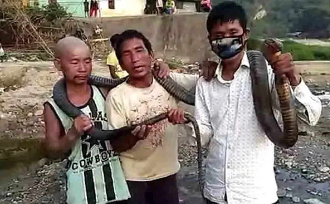 arunachal pradesh men cobra
