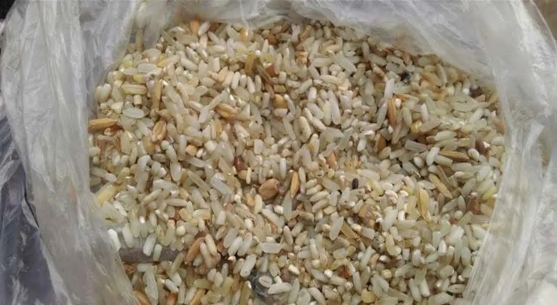 ration rice 