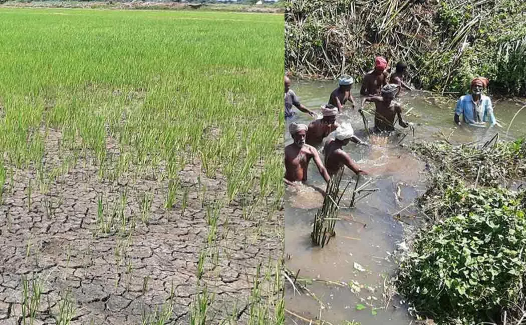 cuddalore water scarsity