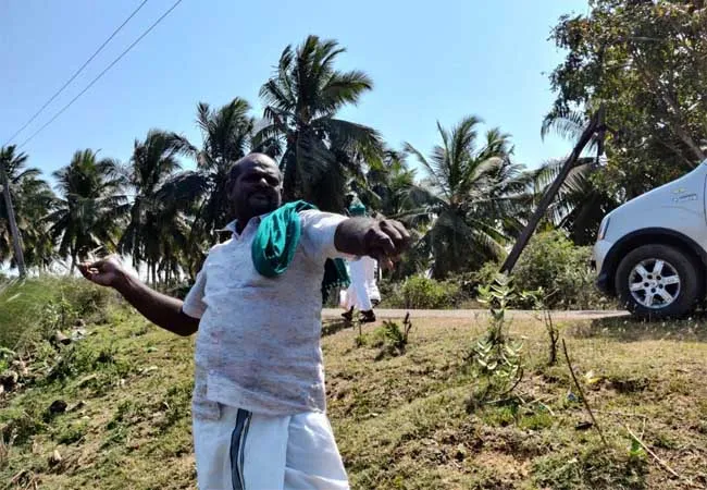 thanjavur district seeds balls spreaded 