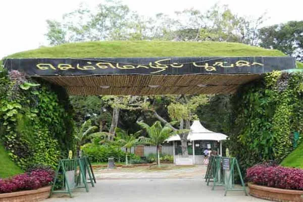 Flower exhibition at Chennai Semmozhi Park starts today