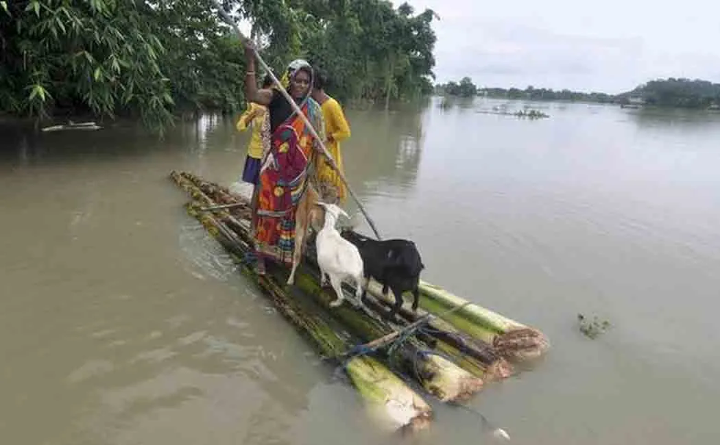 assam flood affects 9 lakh people