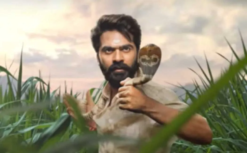 simbu 