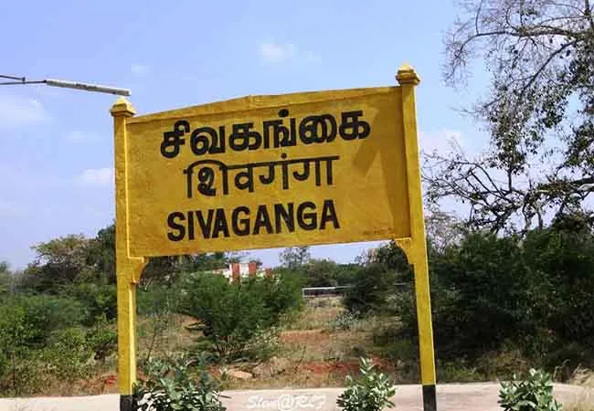 sivagangai local body election admk, ammk parties 