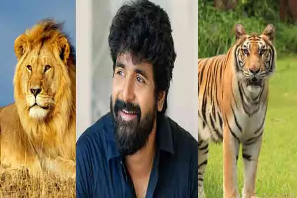 Actor Sivakarthikeyan adopts a lion and a tiger!