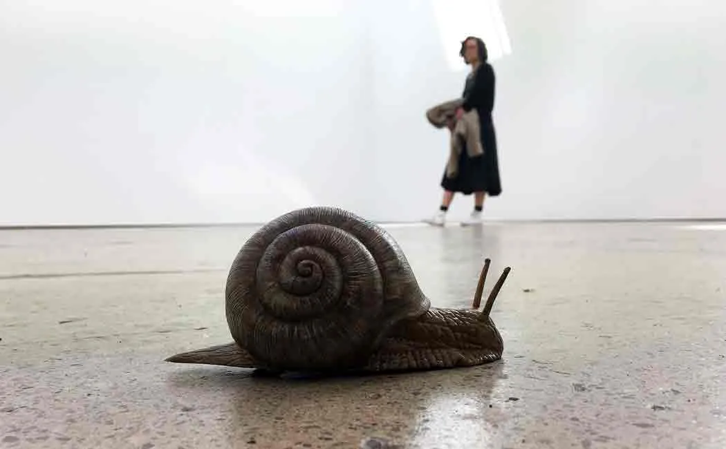 small snail stops 25 bullet trains in japan