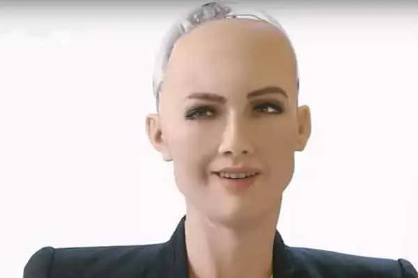 sophia 