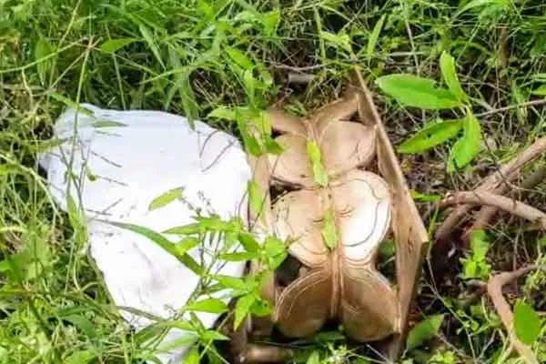 temple statue theft police investigation 