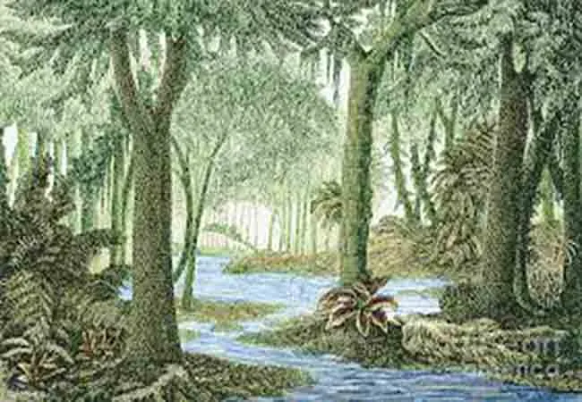 ireland country 350 million years in one picture 