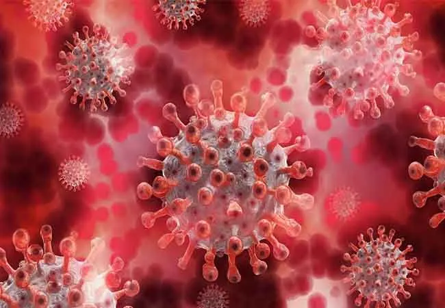 india coronavirus strain 58 new cases 