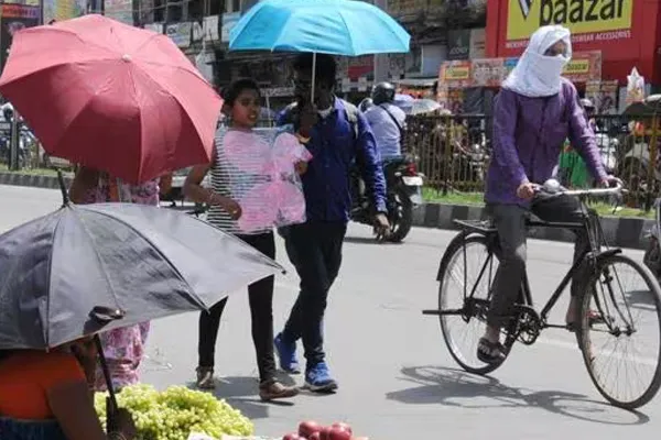 What to do? What not to do? on increasing heat in summer season
