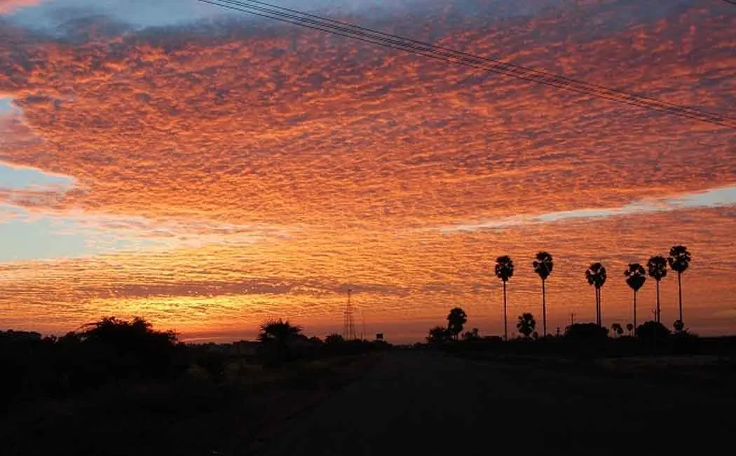 sun