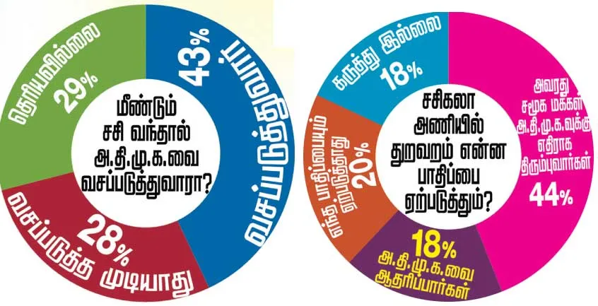 survey