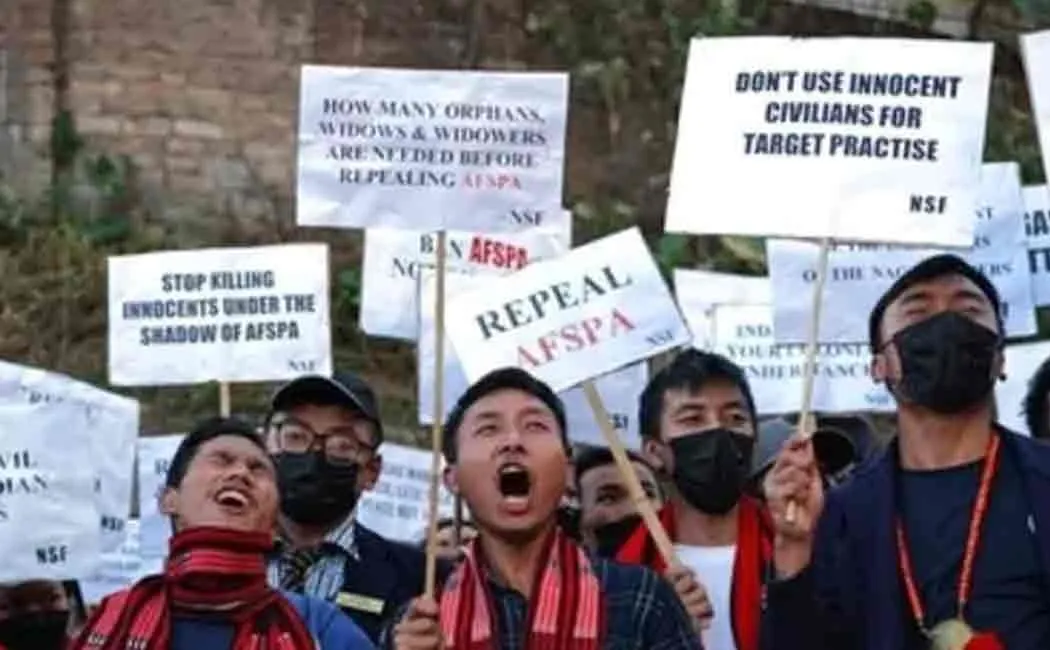 nagaland