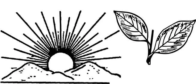  symbol