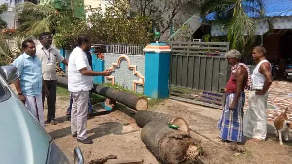 thamimun ansari - gaja - nagai