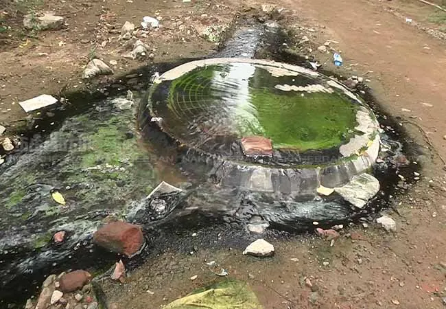 thiruvarur sewage treatment water mixed at pond and lakes corporation not take action