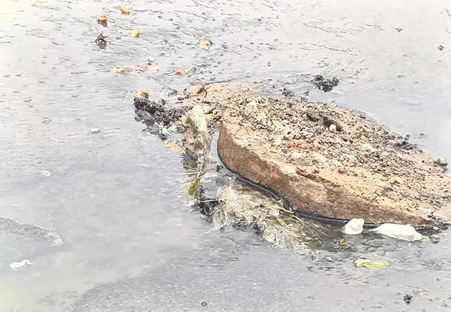 thiruvarur sewage treatment water mixed at pond and lakes corporation not take action