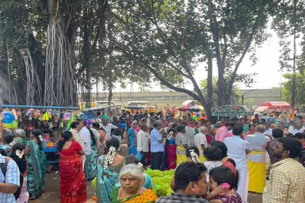 Mariamman festival in fifty places at the same time in one town in dindugal
