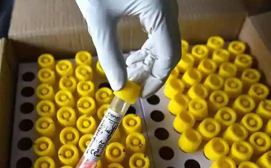 corona 