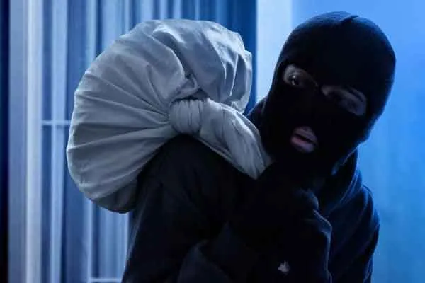 The gang who broke into the house and stole  