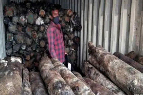 ‘South America to Thoothukudi ..!’ Billions of crores of drugs trapped in the port ..!