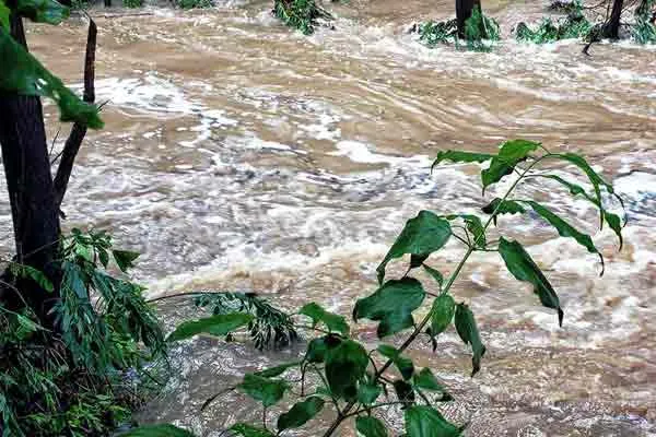 The fire department is on the lookout for a disabled person who was swept away in a flood ...