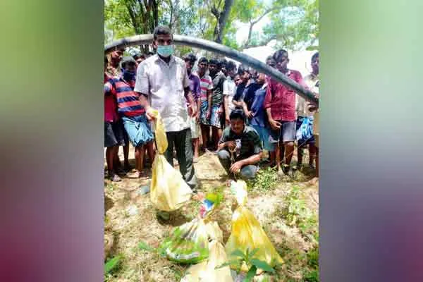 Poisonous snakes caught in a row ..!