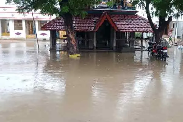 Stagnant rain water ..! People demand district and panchayat administration to take action ..!