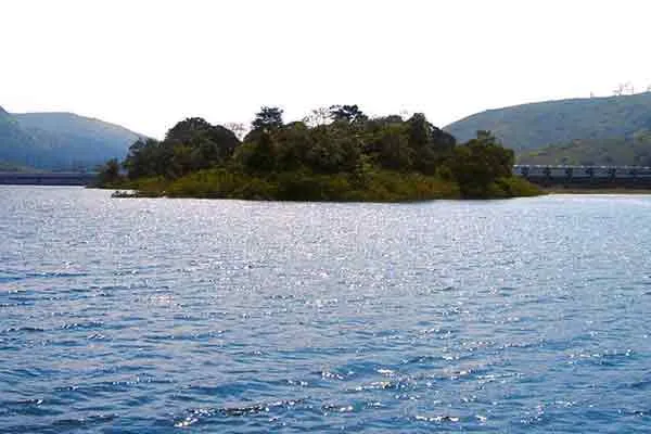 Drone, GPS High Court orders Tamil Nadu government to measure water levels directly ..!