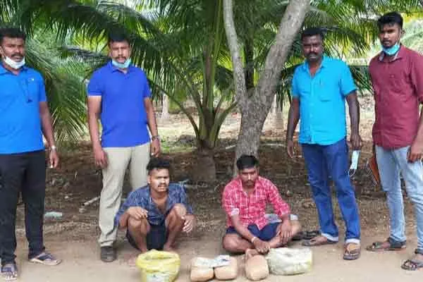 Coimbatore Police arrested two in drug case 